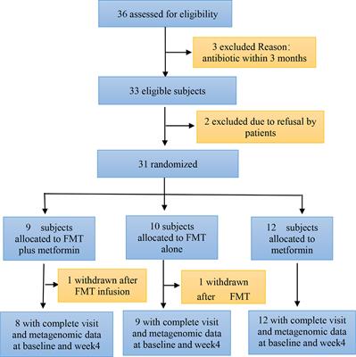 Fecal microbiota transplantation reverses insulin resistance in type 2 diabetes: A randomized, controlled, prospective study